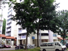 Blk 657 Hougang Avenue 8 (Hougang), HDB 5 Rooms #248662